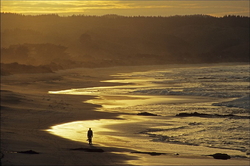 Brighton Beach Dunedin, ����� ��������