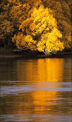 ���� �����, ����������� �����