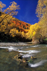 ���� Arrow, ����������� �����