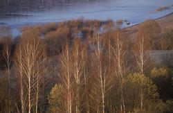 ��������� �������. ������� ���. ��������� ������