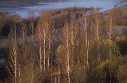 ��������� �������. ������� ���. ��������� ������