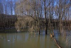 ��������� �������. ������� ���. ��������� ������