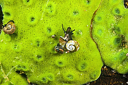 �� ���������: ������. ������� ���� � ����