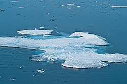 ������� ������������� ���� � ���������� ������. ����� ������������ � ��������� �����������