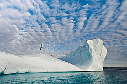 ������� ������������� ���� � ���������� ������. ����� ������������ � ��������� �����������