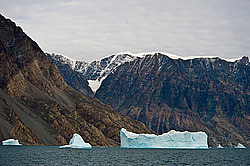 ����� ������� (����� �����������), ��������� ����������