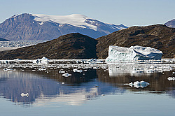 ����� ������� (����� �����������), ��������� ����������