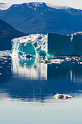 ����� ������� (����� �����������), ��������� ����������