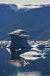 ����� ������� (����� �����������), ��������� ����������