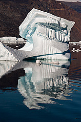 ����� ������� (����� �����������), ��������� ����������