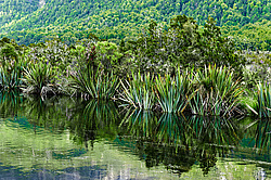 ������ � ������� � �����, ����� ��������