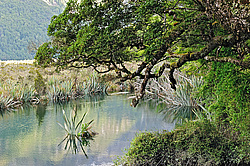 ������ � ������� � �����, ����� ��������