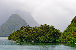 ������ � ������� � �����, ����� ��������