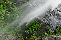 ������ � ������� � �����, ����� ��������