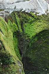 ������ � ������� � �����, ����� ��������