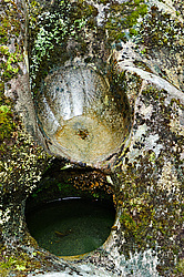 ������ � ������� � �����, ����� ��������