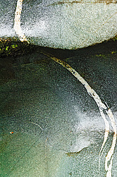 ������ � ������� � �����, ����� ��������