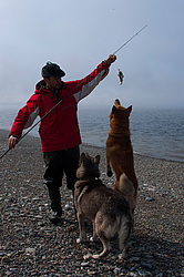  �������� ����, ������ ����. ����������� ������� �������. 