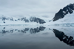 ������� ��������������� ���������, ������ ���������,  ����� ������, 1 ������