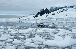 ������� ��������������� ���������, ������ ���������,  ����� ������, 1 ������