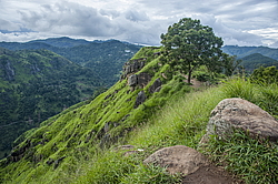 ������ ��������� � ������� �����������, ����������� ����� �������, ���-�����