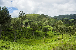 ������ ��������� � ������� �����������, ����������� ����� �������, ���-�����