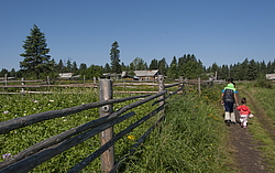 ���������, ������� �������, ������ ����, �������� ����, ������