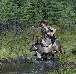 ���������, ������� �������, ������ ����, �������� ����, ������