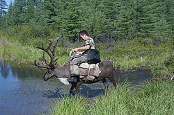 ���������, ������� �������, ������ ����, �������� ����, ������