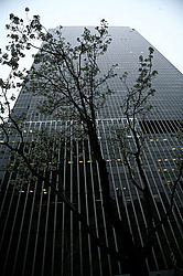 ����� ���-�����, ����