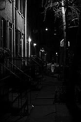 ׸���-����� ���-����