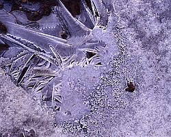 ������� ���������: ���. ��������� <������ ���, ��������� ���>