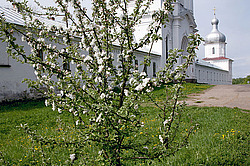 ������� ��������. ����� ��������� (XII-XIX��. )