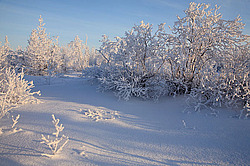 ����, ������ ������