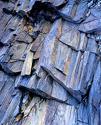 �������. ������