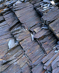 �������. ������