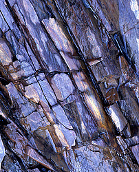 �������. ������