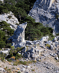 ����. ������ � �������