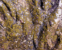 �������. ������. ������ � �������