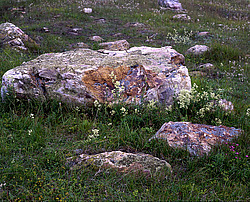 ����. ������ � �������