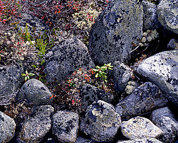 ����������� �������. ������ � �������