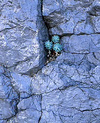 ����. ������ � �������