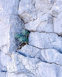 ����. ������ � �������