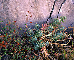 ����. ������ � �������