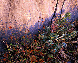 ����. ������ � �������