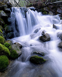 �������. ��������-�������� ������. ������ � �������