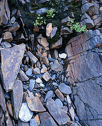 ����������� �������. ������ � �������