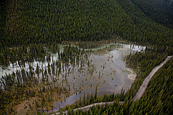 ���������� ���� 2013 ����. ��������� ����, ����, ������