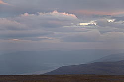 ����� ���. ����������� ����������, ����� ��������, ������