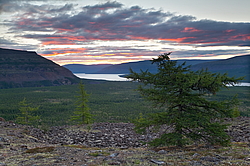 ����� ���. ����������� ����������, ����� ��������, ������